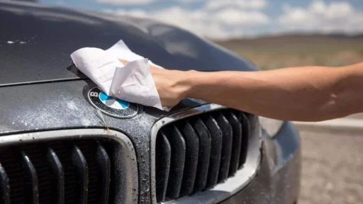 how to remove bugs from car without damaging paint